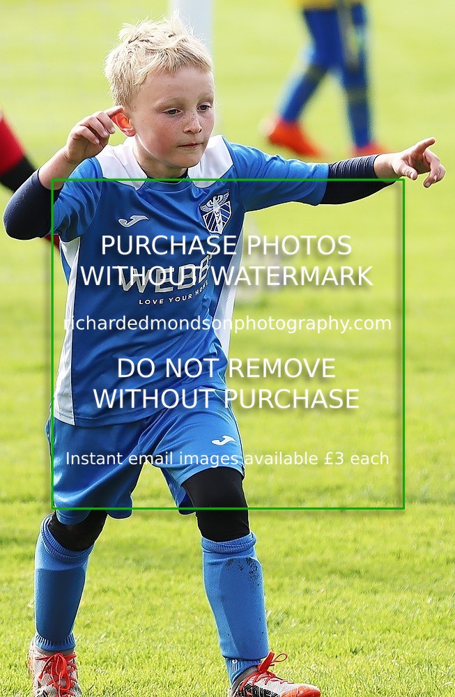 IMG_0621 - Ibis Under 7 vs Wattsfield Under 7 (28/9/24)