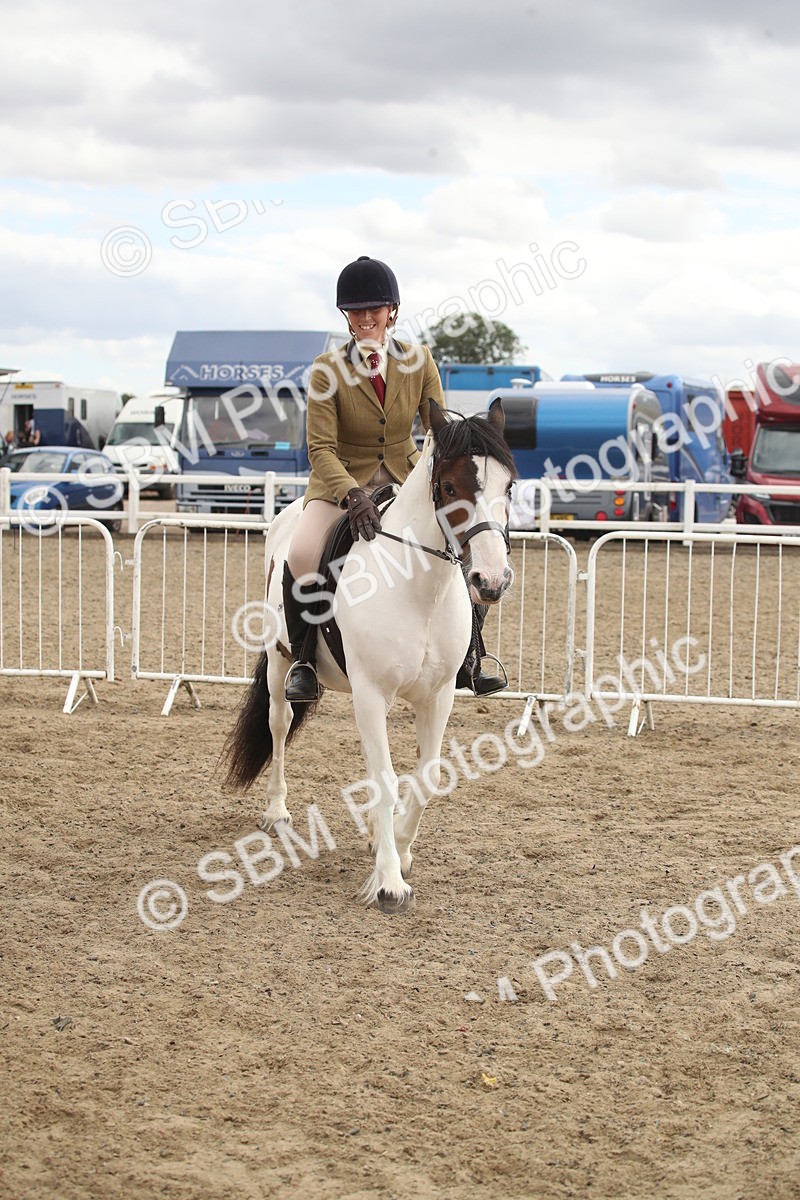 SBM_15226 - Class 506a - Working Veteran - 50cm (15-19)