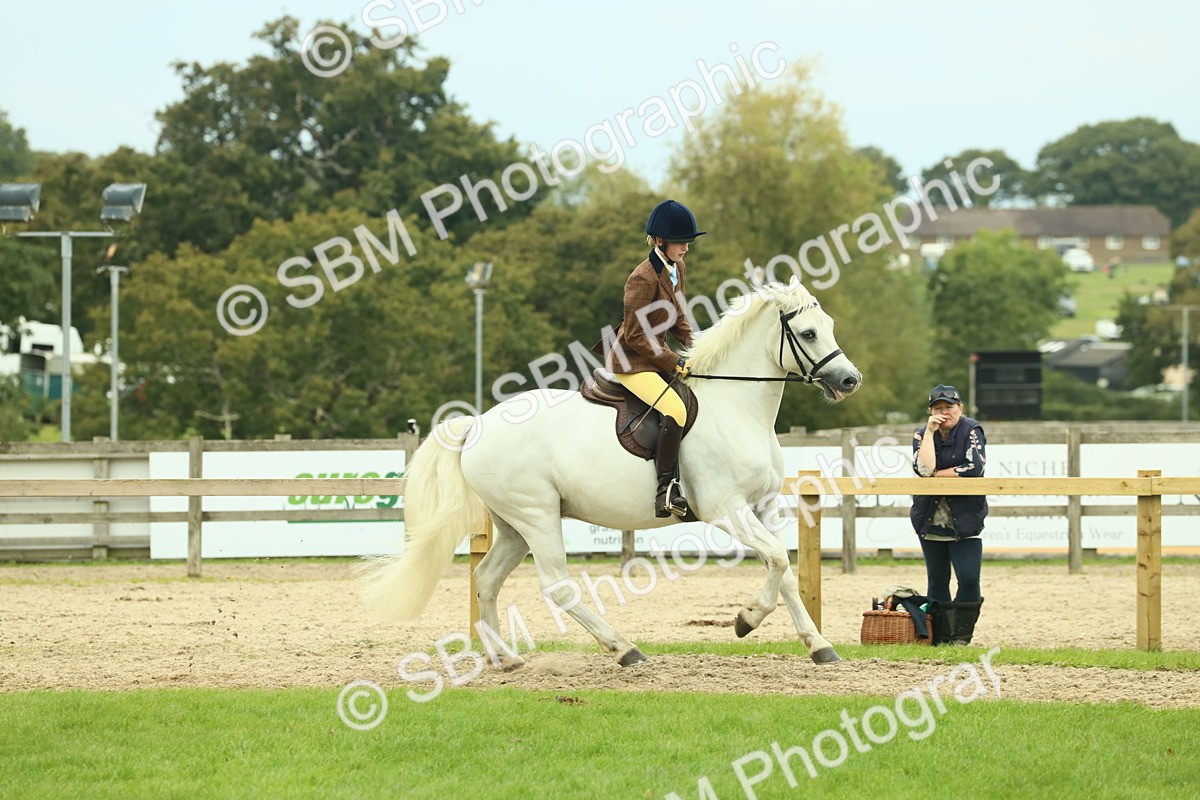 SBM_72168 - S60 - Mountain & Moorland Ridden Large Breeds