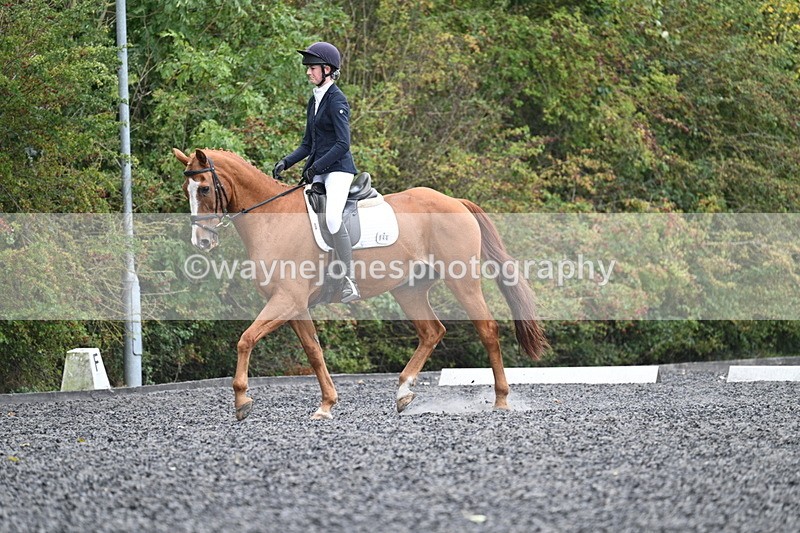 WJ7_6641 - Time 14:49 to 15:14