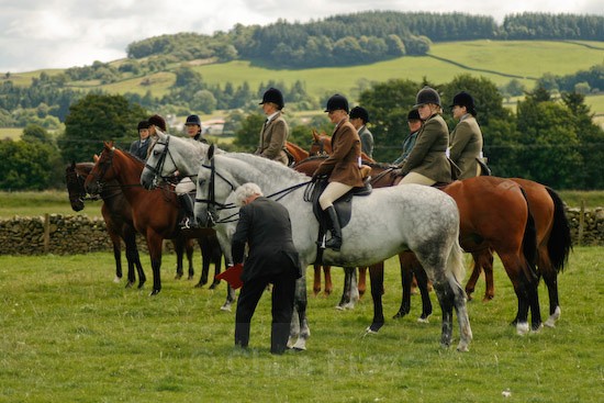 3 - Equestrian Photography