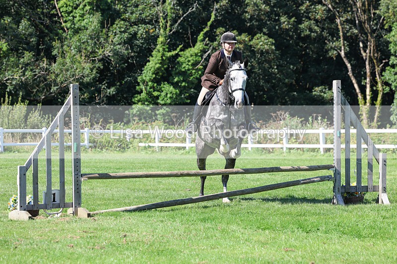 3E7A8271 - Class 4: Novice working Hunter