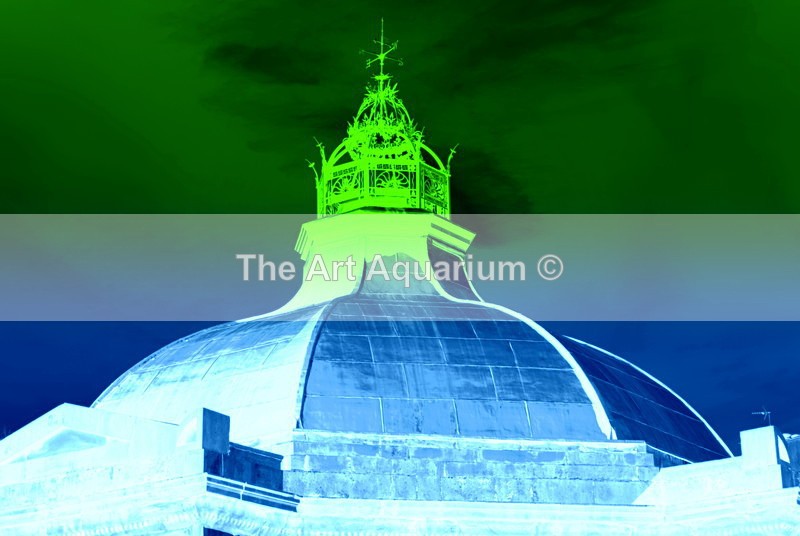 The Art Aquarium - Rachael Inchboard