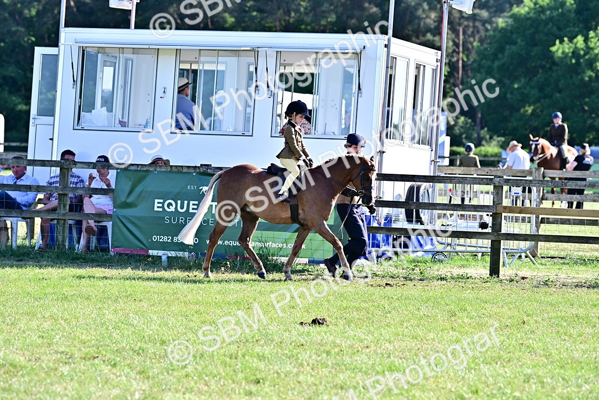 SBM_19818 - Class 103 - 105 - TSR Ridden Amateur of the Year Plaited Ponies