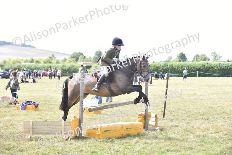 20250831-4104 - Class 13 - Working Hunter Horse or Pony