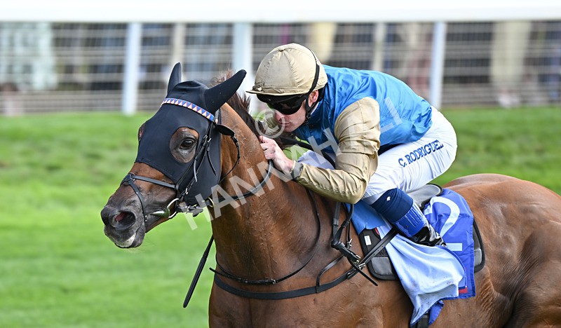 220826-011 Archivist - Race 1 13.50pm Sky Bet Strensall Stakes