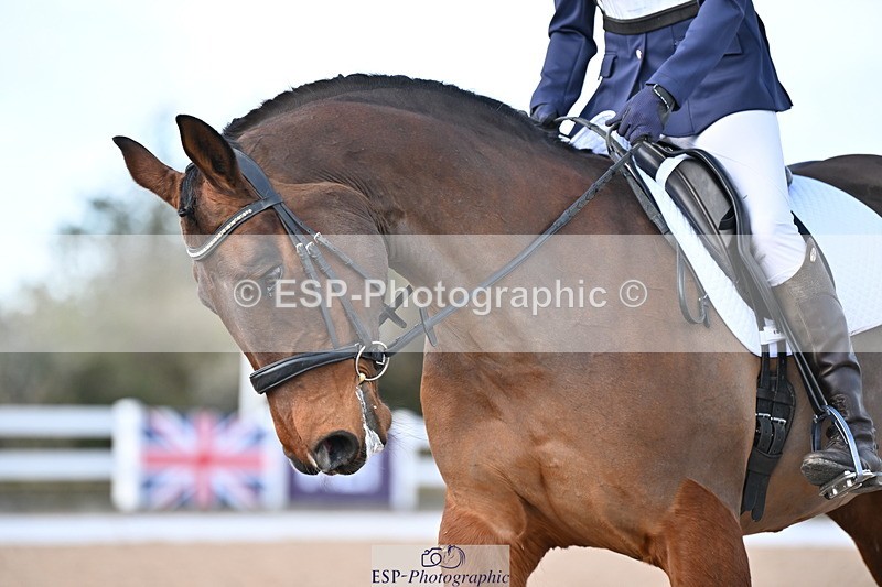 240324A-134516-03479 - Novice 28, 13.00 to 14.00