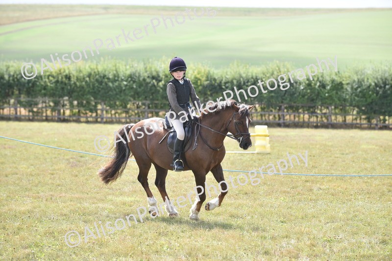 20250831-3935 - Class 11 - Working Hunter Pony 13hh and Under