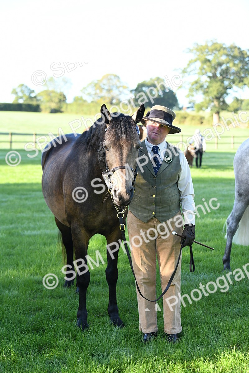 SBM_32821 - S15 - Condition & Turnout In Hand