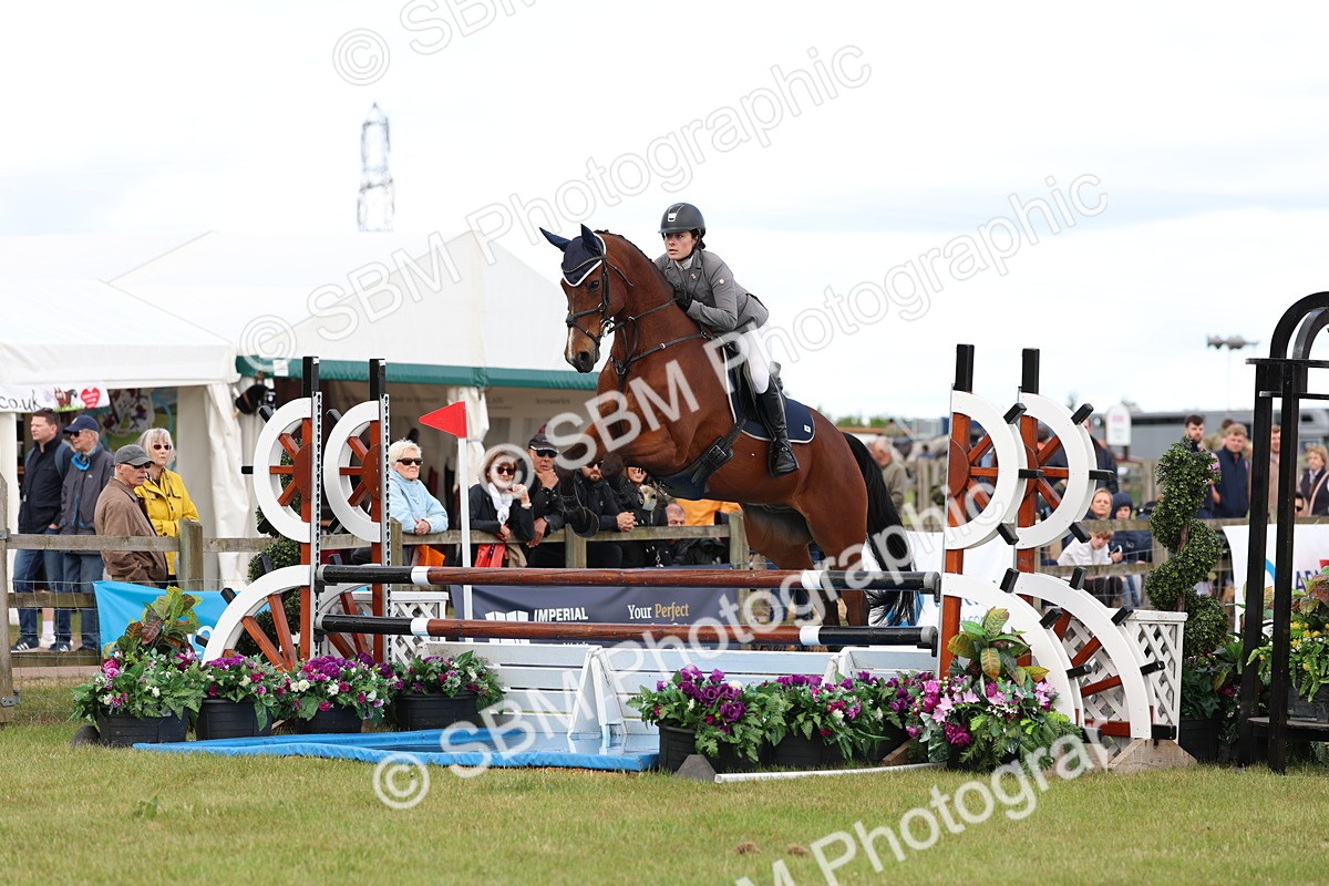 SBM_13798 - Class 206 - Senior Newcomers - 1.10m Open