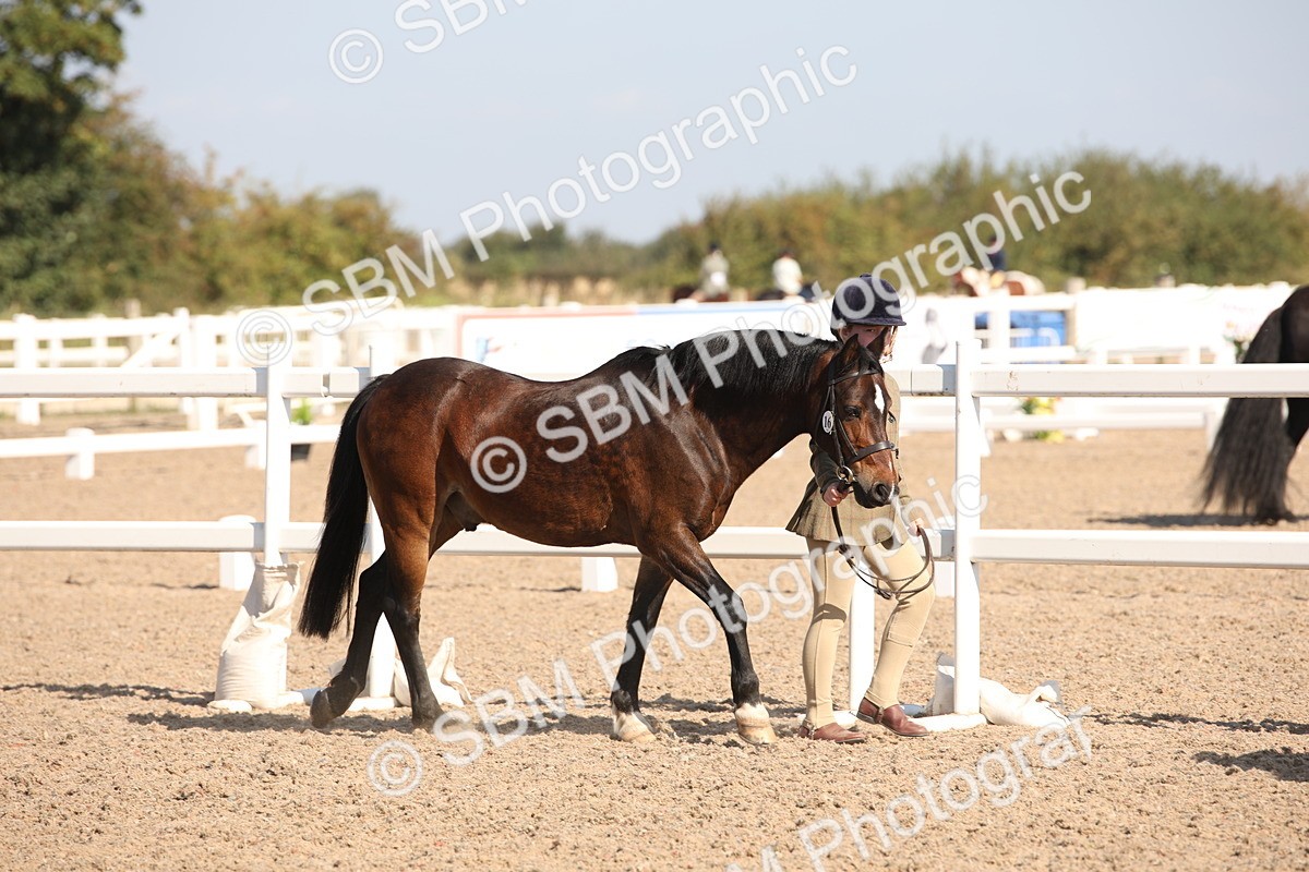 SBM_02659 - Class 16 IH M&M Wildcard