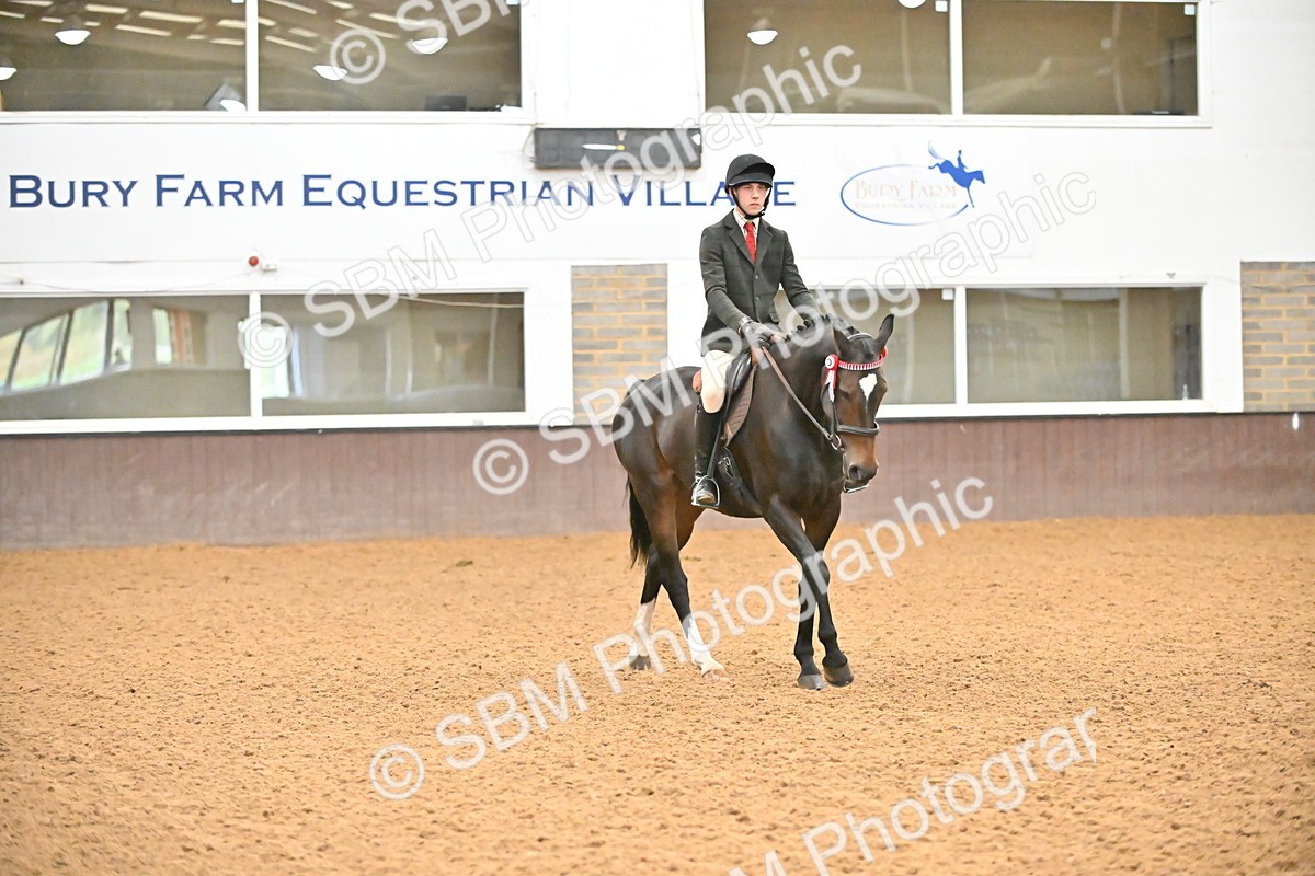 SBM_002389 - Class 22 - BSHA Ridden Hack & Riding Horse