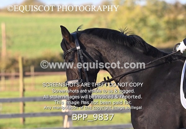 BPP_9837 - SHORT ARENA