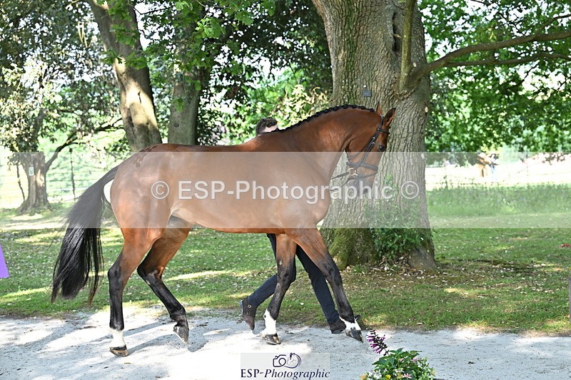 250521A-165130-01383 - C-269-Tom.Grant-NEW.NINI