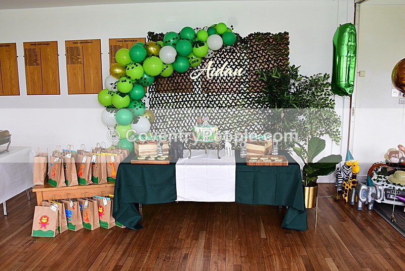 ADN-032 - Aiden's 1st Birthday