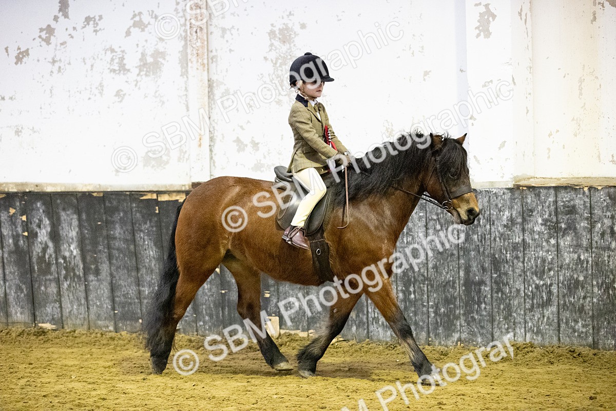 SBM_008850 - Class 23-26 - Novice-Open M&M LR-FR