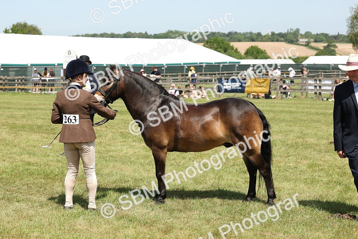 SBM_06850 - Class 26-30 - Mountain and Moorland Ridden