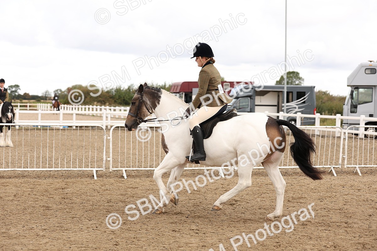 SBM_02885 - Class 53 - Ridden Competition Horse/Pony