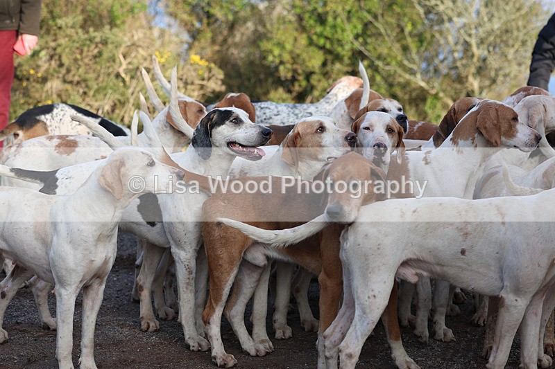 3E7A5309 - FBH Carn Brea 26.12.2025