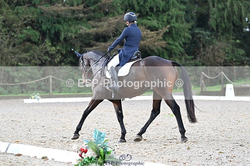 231019-100234-01314 - 030-MONBEG.SHELBY-Kat.Raybould-DR