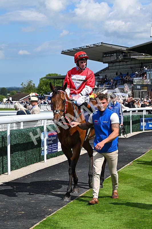 280525-Race 3-Rogue Invader-4914 - Race 3