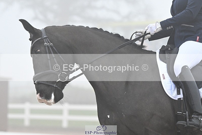 240217A-102608-01358 - 140-Mandy.Day-Nikki-Vajaps