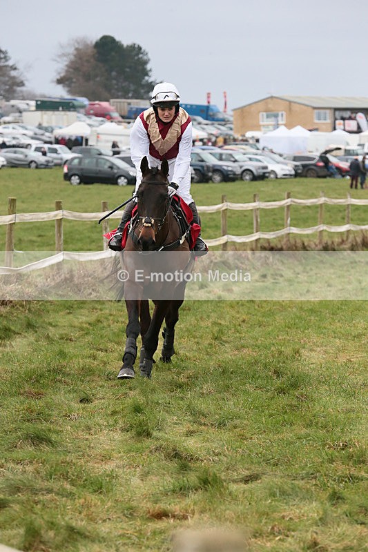 PtP 060119 84 - Larkhill Racing Club - Point-to-Point- 06/01/2019