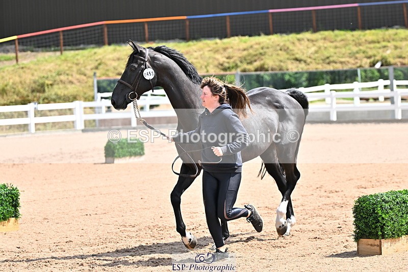 240718A-105241-01026 - Trot Up 11am to 12pm