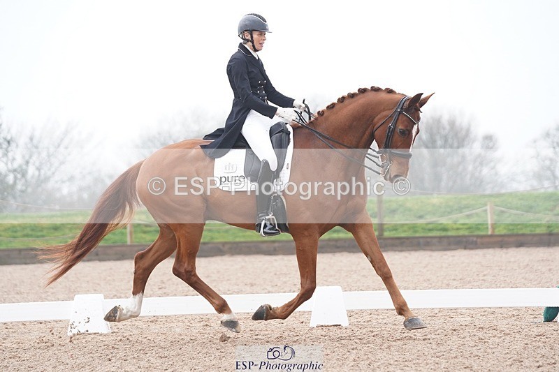 250404-094912-04124 - 009-Sarah.Stewart-Djoe.Dimaggio