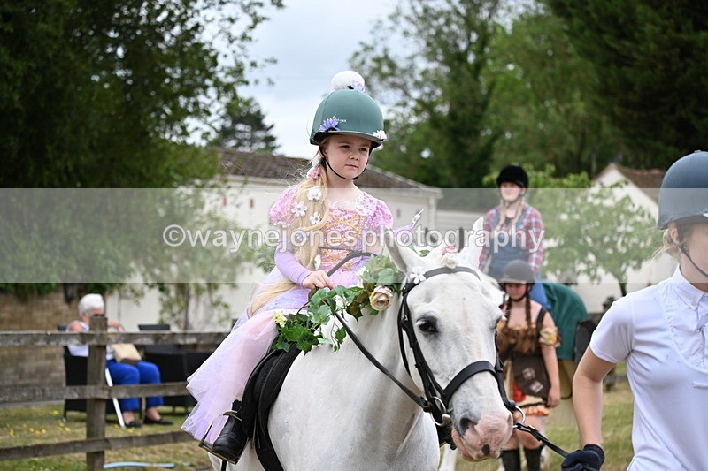 WJ6_4754 - Class 11 Fancy Dress