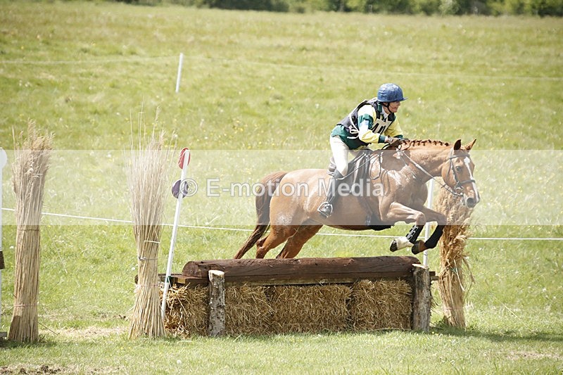 BVHT 140517  NXC -393 - Class 2 XC Novice 14/05/17
