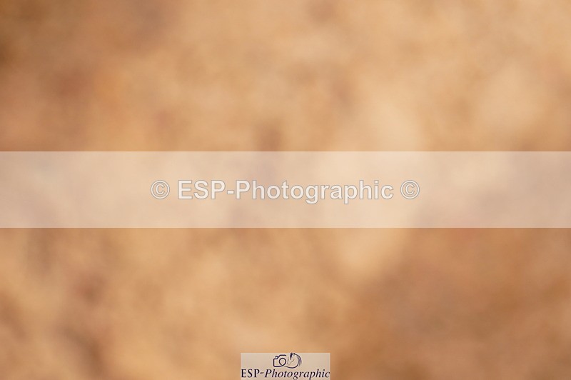 240526A-095922-07254 - Cls 25 National 1.30m Open