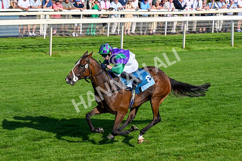 100726-Race 7-Green Sky-0490 - Race 7 17.40pm William Hill Best Odds Guaranteed Apprentice Handicap
