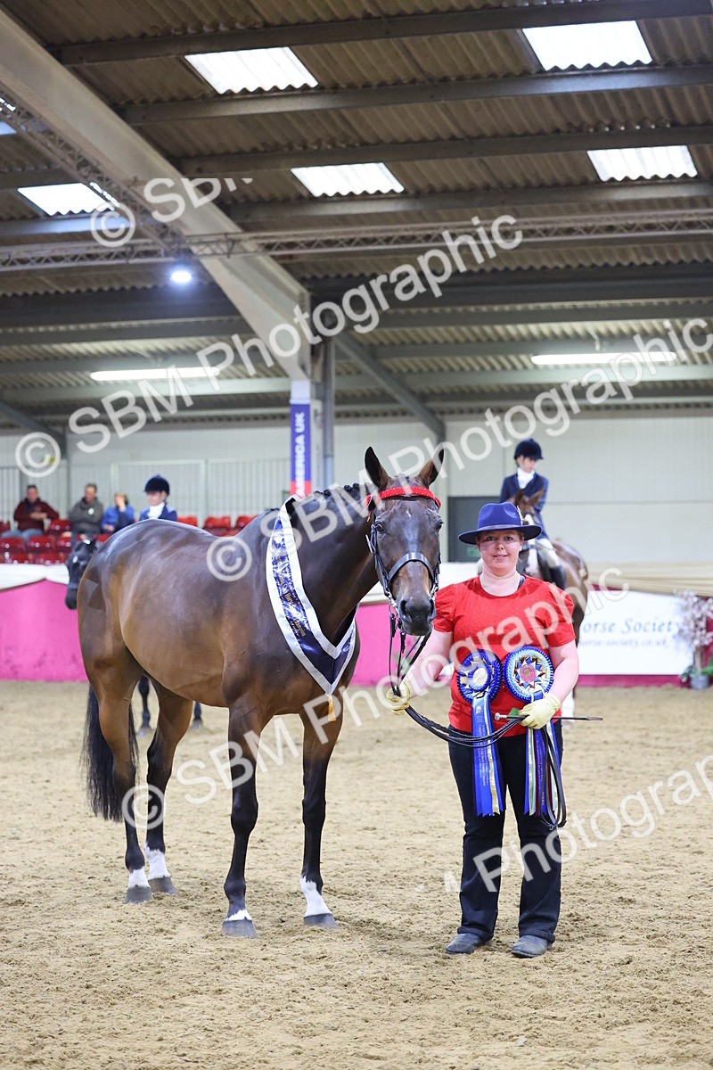 SBM_19181 - Class I Competition/ Riding Club Champ