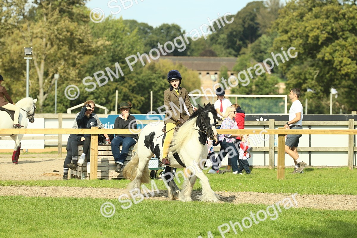 SBM_68908 - S58 - Mini Show Cob Ridden