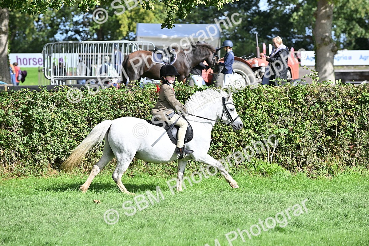 SBM_48386 - S21 - Novice & Newcomers First Ridden