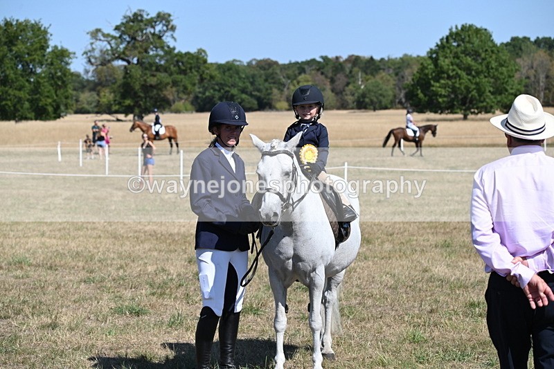 WJ6_8144 - Class 36 Lead Rein
