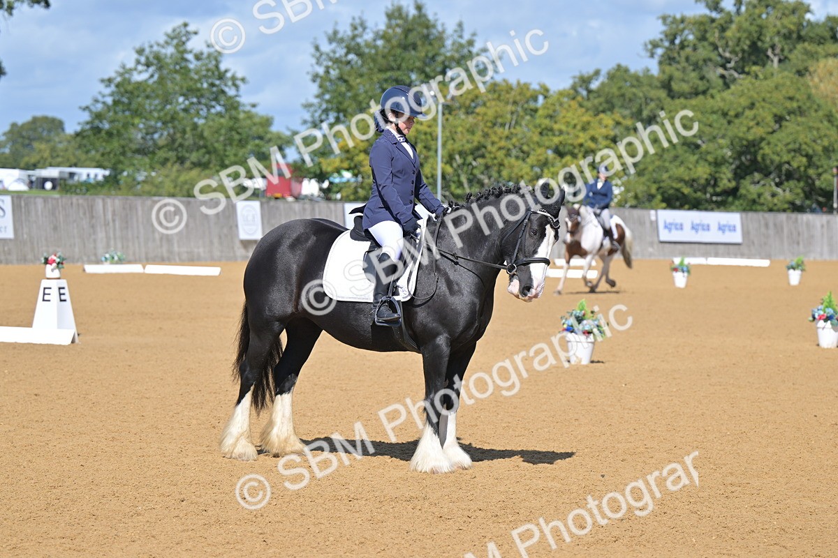 SBM_07965 - D8 - Small Tour Championship Prelim 1