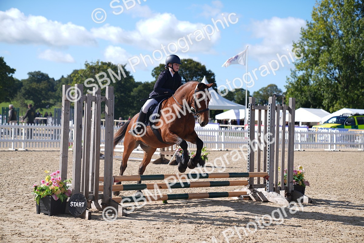 SBM_02371 - J54 Clear Round 45cm