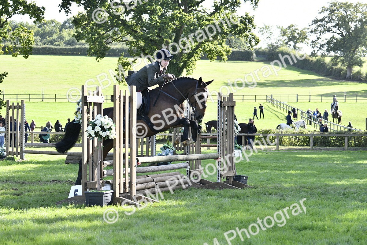SBM_50055 - S34 - Novice & Newcomers Working Hunter