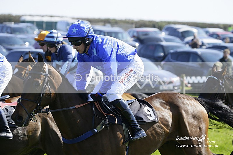 PtP 190322 203 - Wilton Hunt PtP Milborne St Andrew 19/03/22
