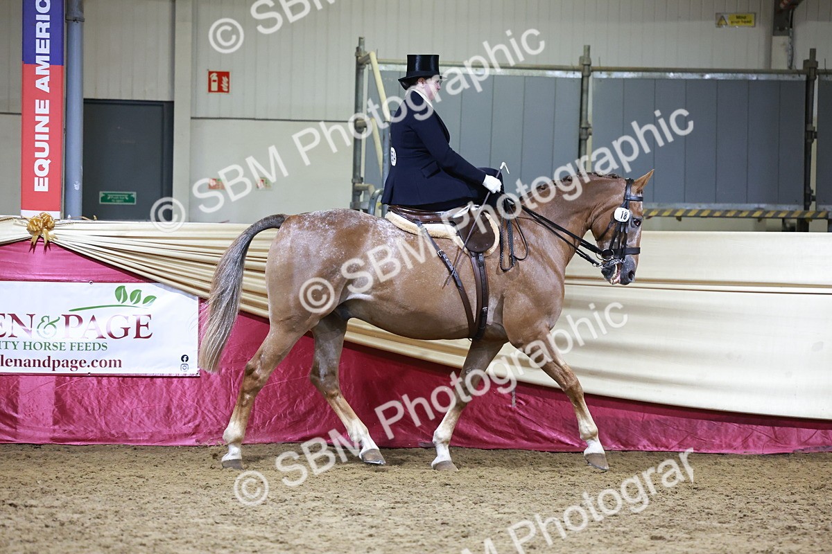 SBM_20942 - Class N - Side Saddle Champ