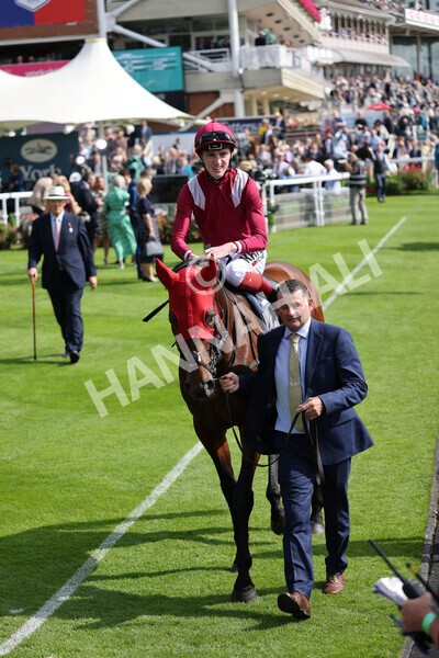 yr18082021r4-28 - Race 4 3.35pm Juddmonte International Stakes (British Champion Series race)