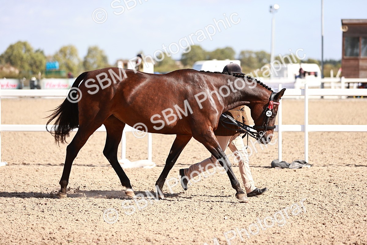 SBM_22773 - Class 705 - IH Combination 65+