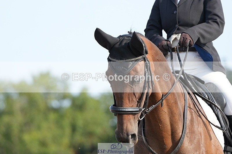 250815-091030-00037 - 005-Patricia.HaskinsGaelic.Surprise