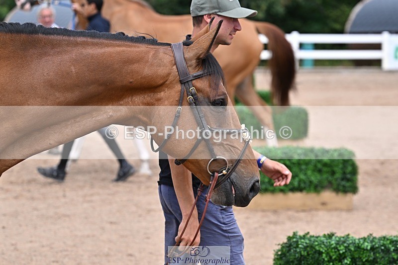 250716-130223-00277 - Trot Up 12.30 to 1.30