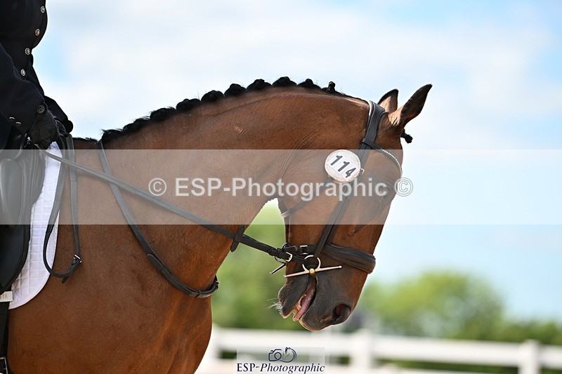 240622A-171830-15260 - Cls 7B+C Elementary 44 RoR