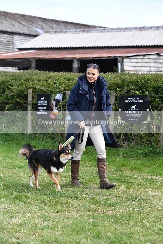 WJ5_0765 - Best in Show Championship