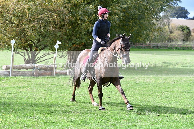 WJ5_0733 - Time 13:59 to 14:28