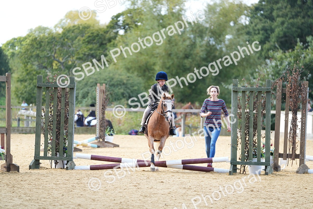 SBM_64309 - J2 - Mini Tour Junior Pony 30cm Championship